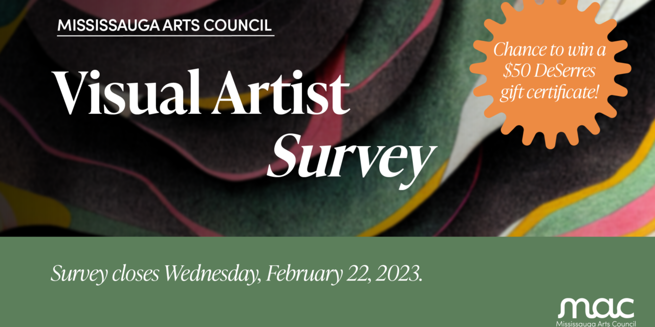 Visual Artists in Mississauga – have your say and get the chance to win a DeSerres gift card