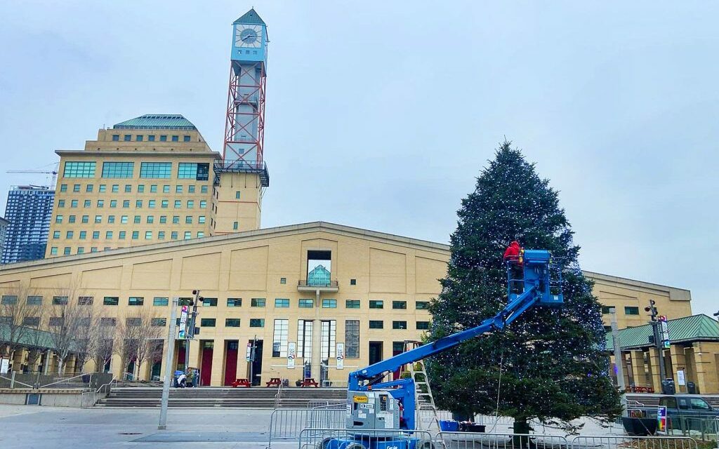 insauga: Christmas tree arrives for light up and rink opening event in Mississauga